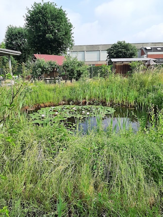 Schulgarten